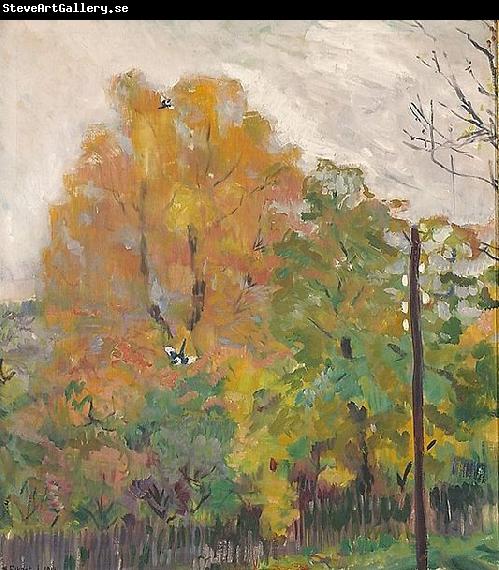 Bernhard Folkestad Deciduous trees in fall suit with cuts
